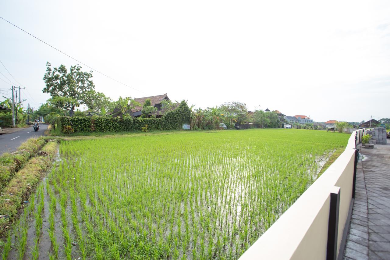 V Canggu Dormitory Albergue Exterior foto